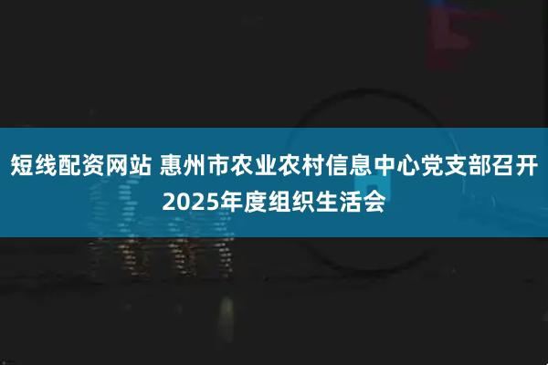 短线配资网站 惠州市农业农村信息中心党支部召开2025年度组织生活会